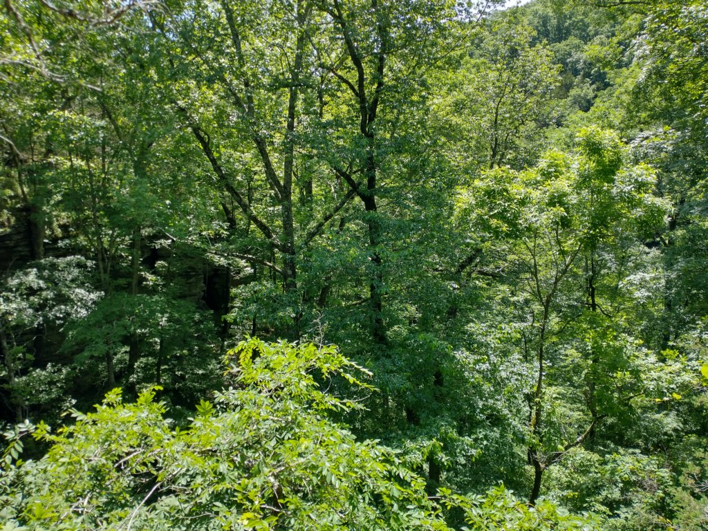 img_20220603_112811875_hdr.jpg