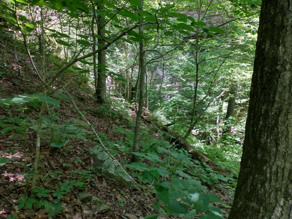 img_20220603_113318048_hdr.jpg