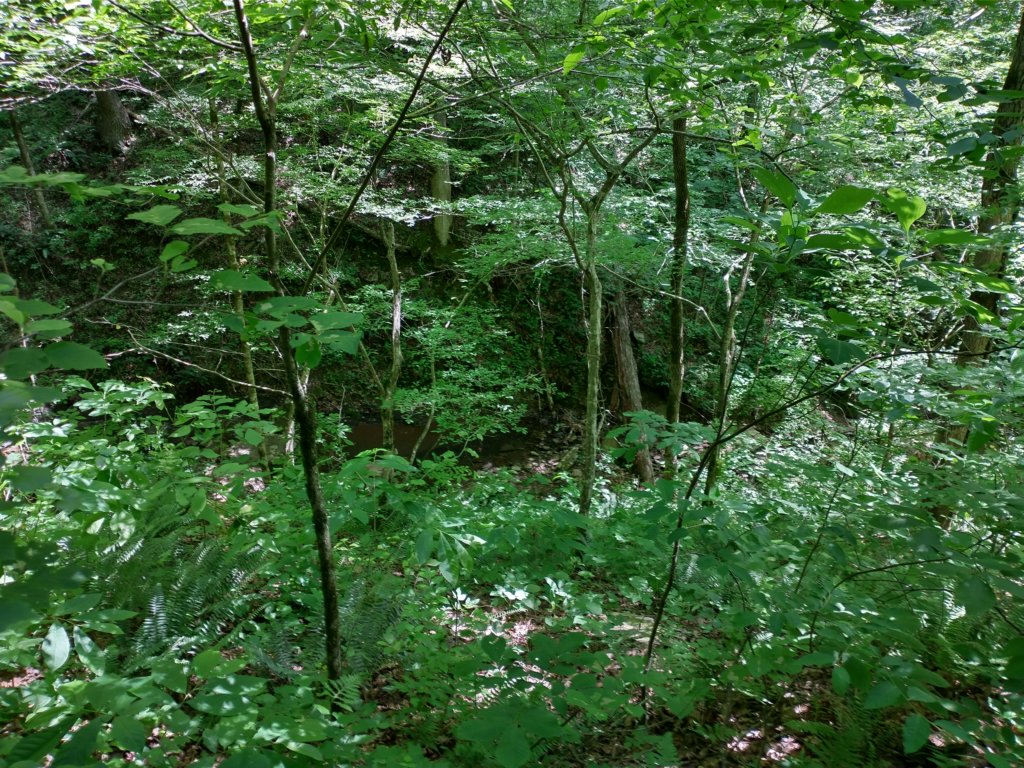 img_20220603_113332380_hdr.jpg