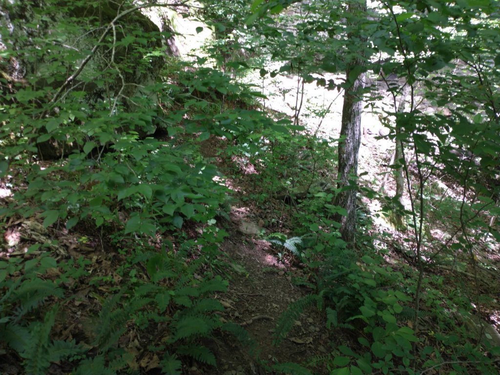 img_20220603_113459675.jpg