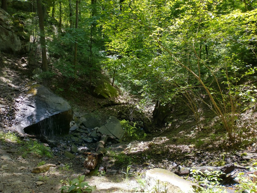 img_20220603_113628756_hdr.jpg