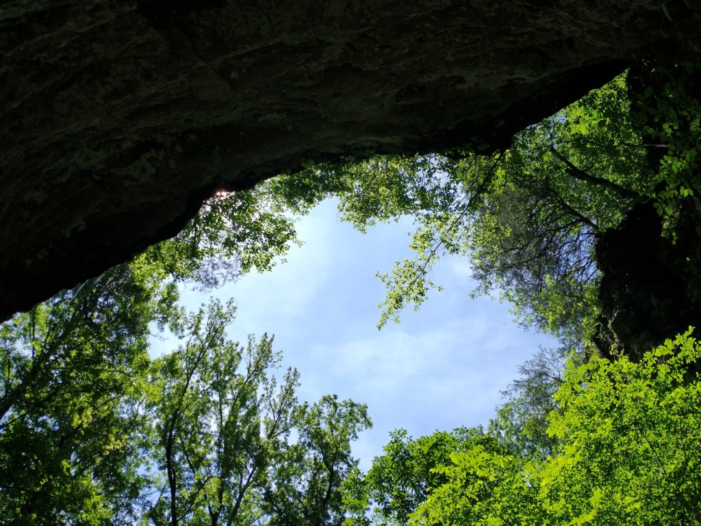 img_20220603_113639630_hdr.jpg