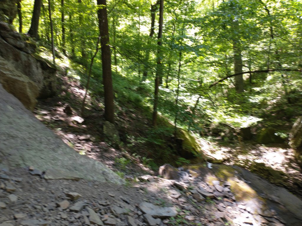 img_20220603_113743634.jpg