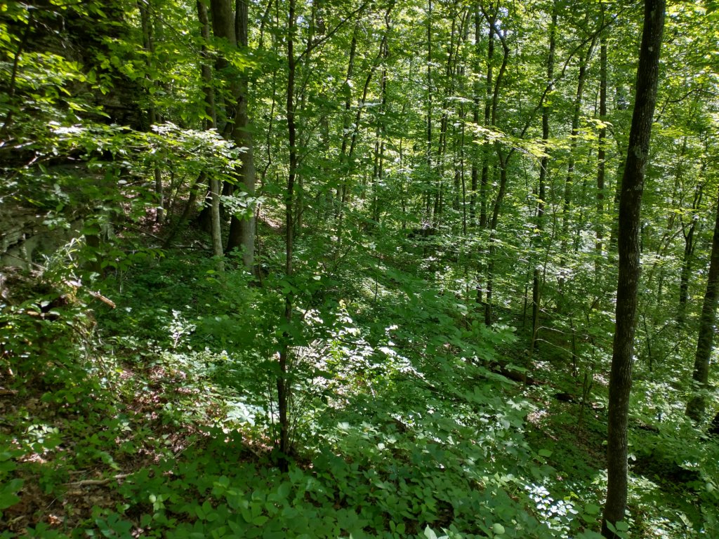 img_20220603_114345375_hdr.jpg