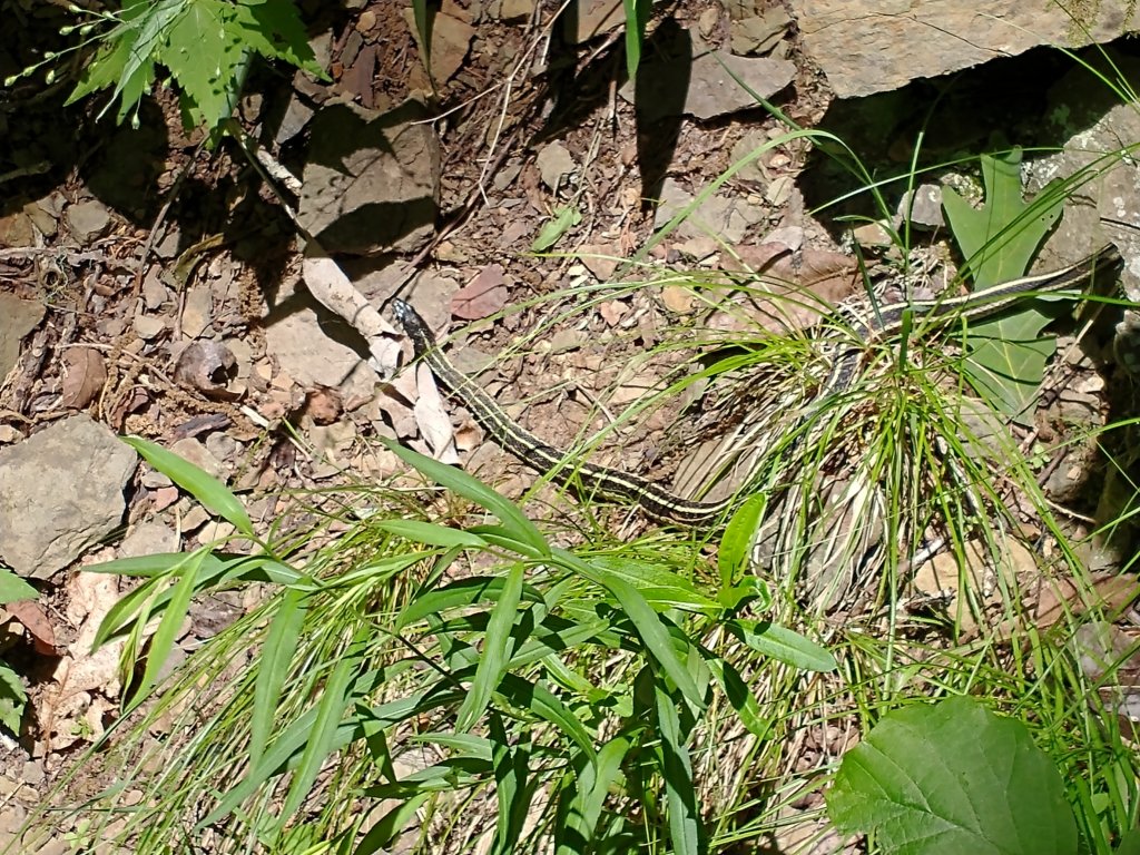 img_20220603_114722499.jpg