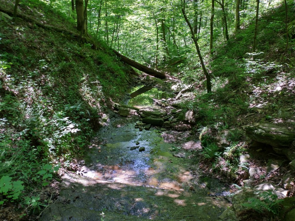 img_20220603_115415318_hdr.jpg