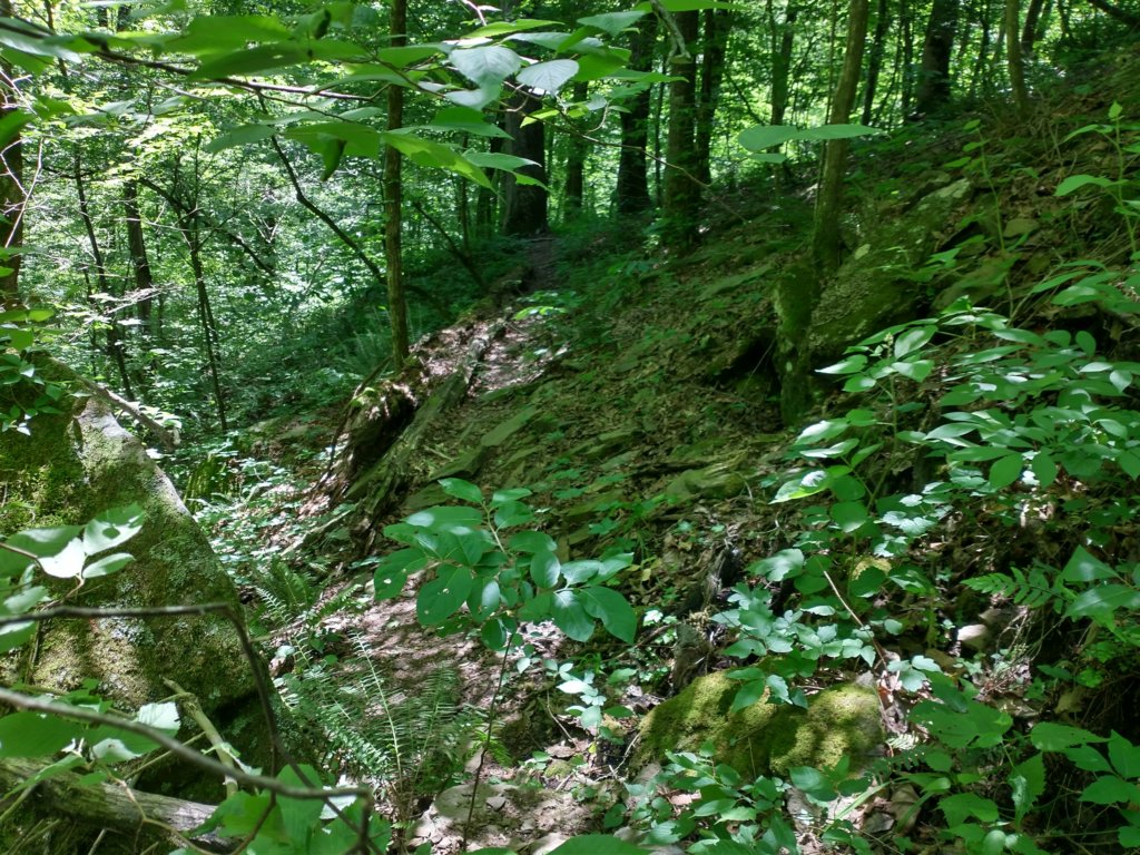 img_20220603_115710536_hdr.jpg