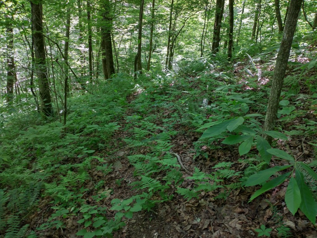 img_20220603_115741695_hdr.jpg