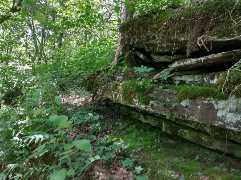 img_20220603_120620235_hdr.jpg