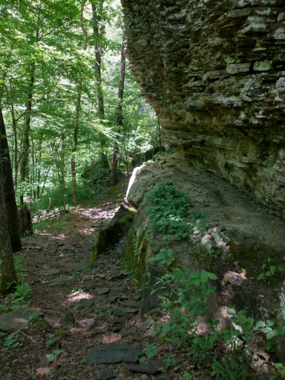 img_20220603_120858294_hdr.jpg