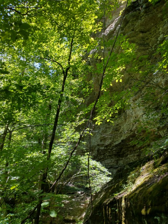 img_20220603_121107064_hdr.jpg