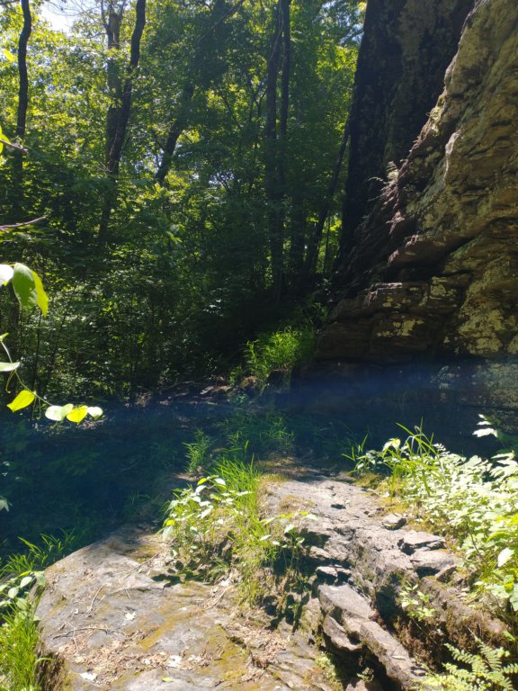 img_20220603_121927982.jpg