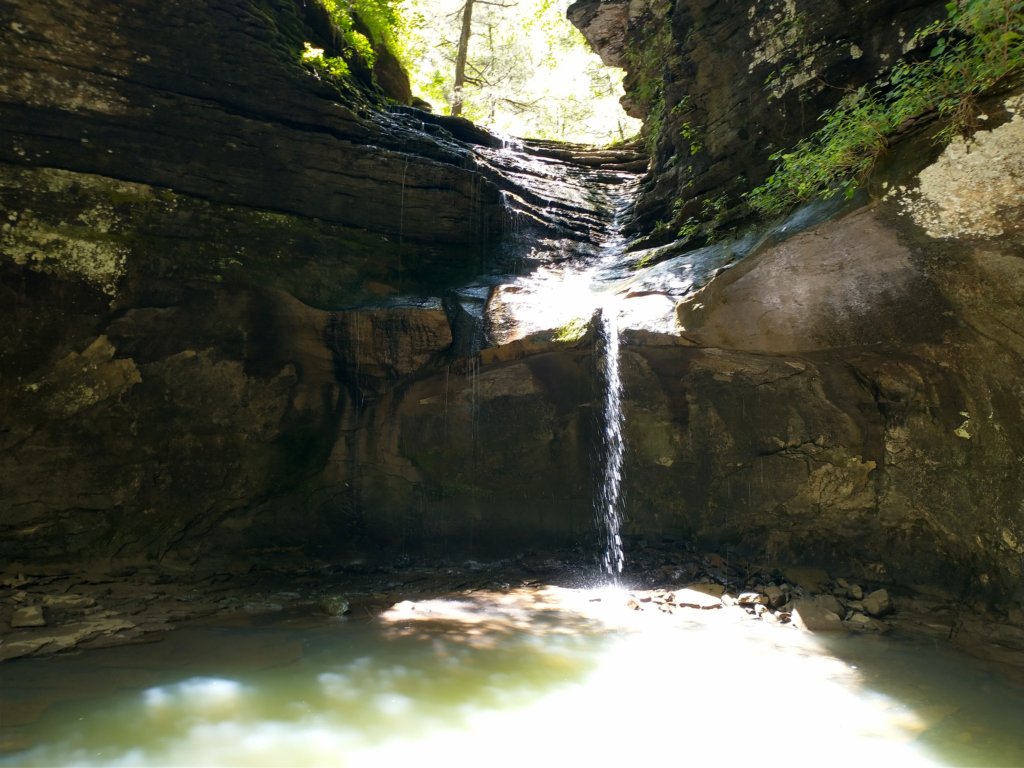 img_20220603_122913139_hdr.jpg
