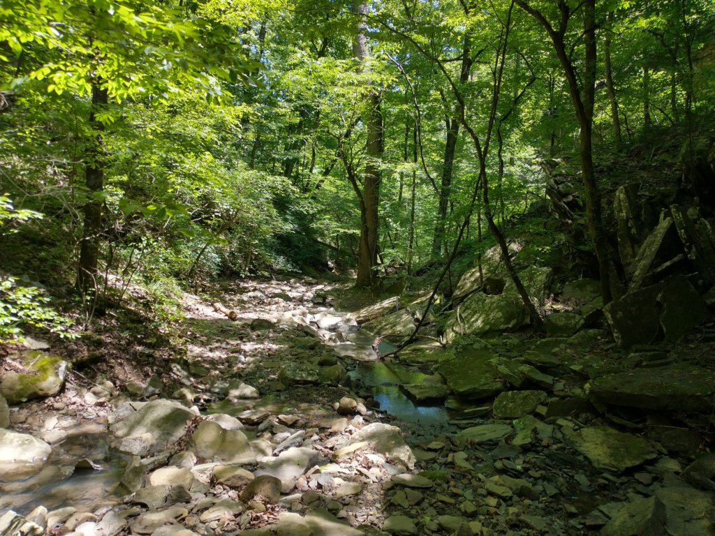 img_20220603_123114677_hdr.jpg