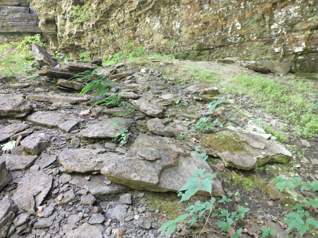 img_20220603_123202988.jpg