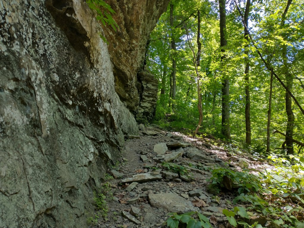 img_20220603_123552189_hdr.jpg