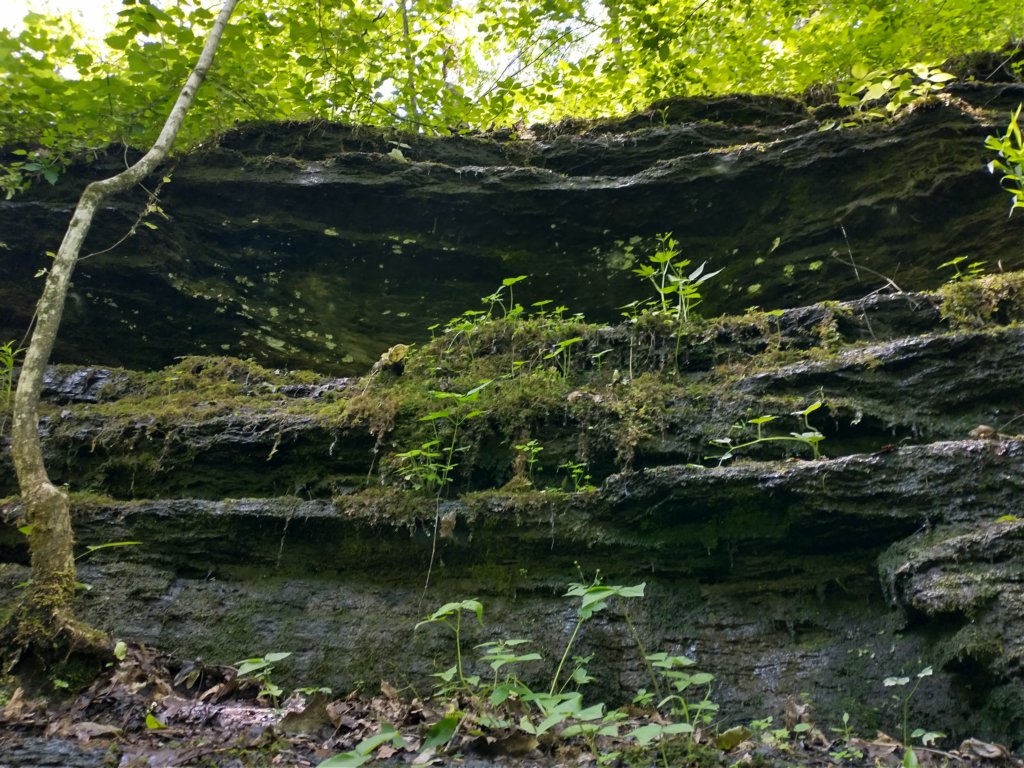 img_20220603_123754155_hdr.jpg