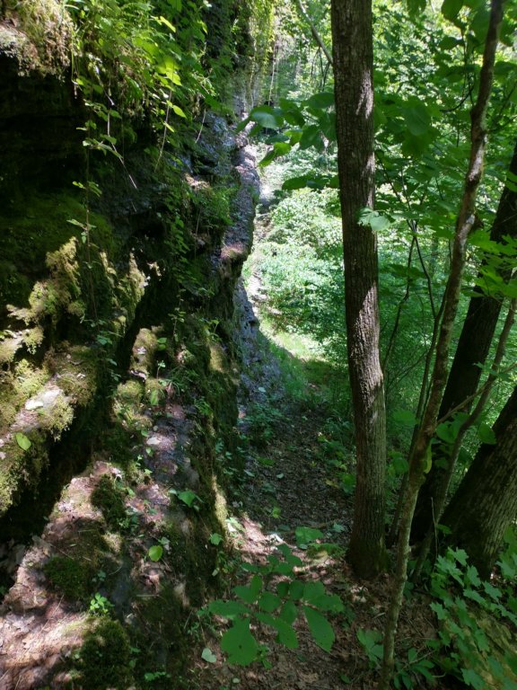 img_20220603_123907159_hdr.jpg