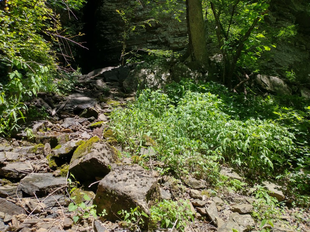 img_20220603_124206666_hdr.jpg