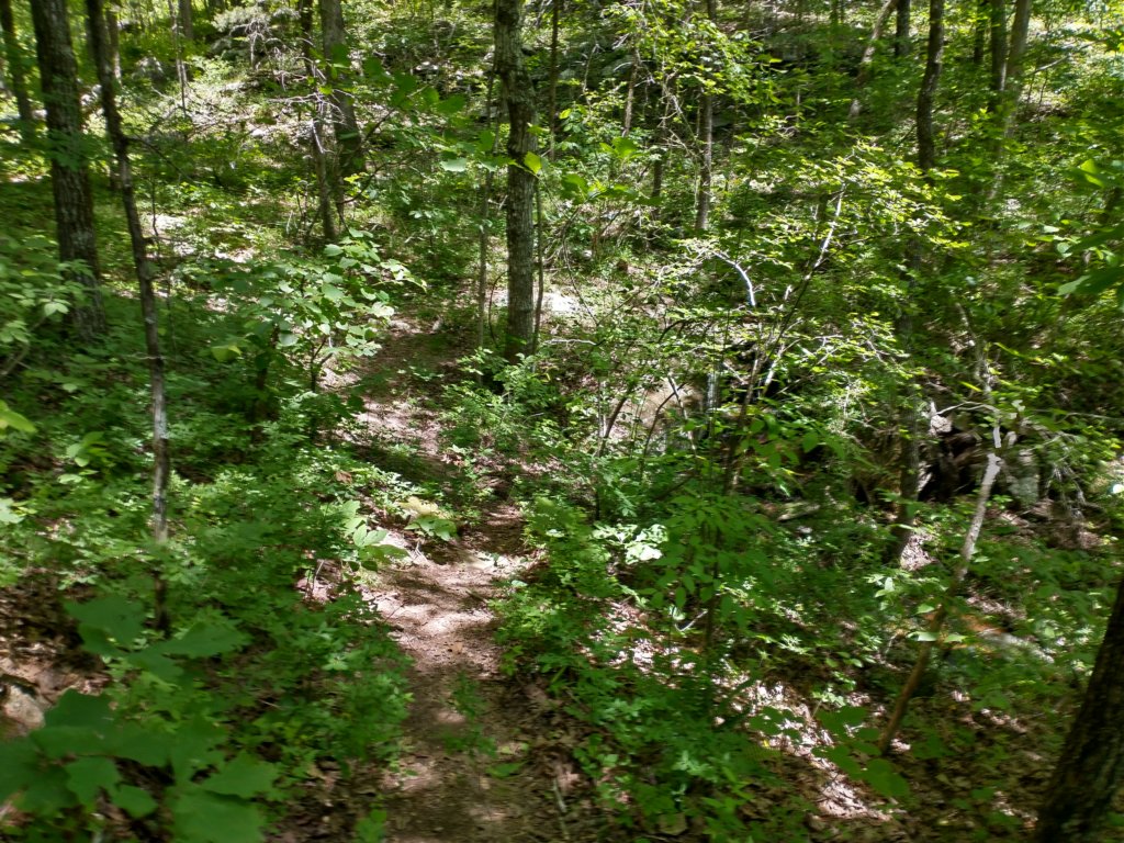 img_20220603_124939718_hdr.jpg