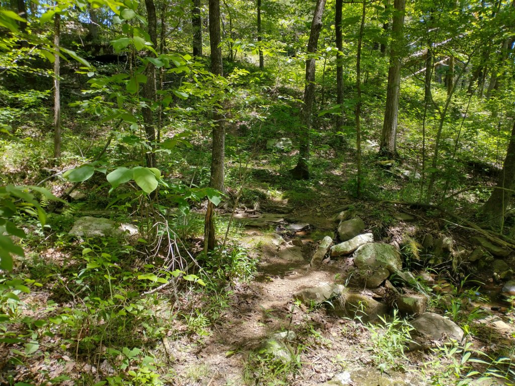 img_20220603_125006947_hdr.jpg