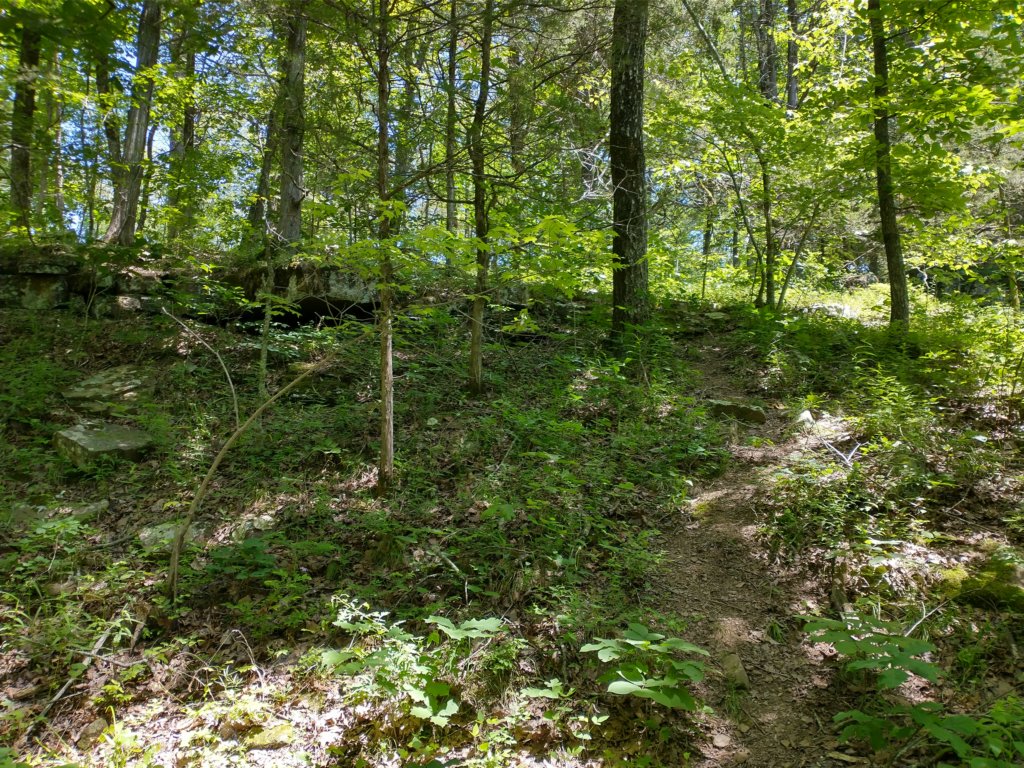 img_20220603_125032221_hdr.jpg