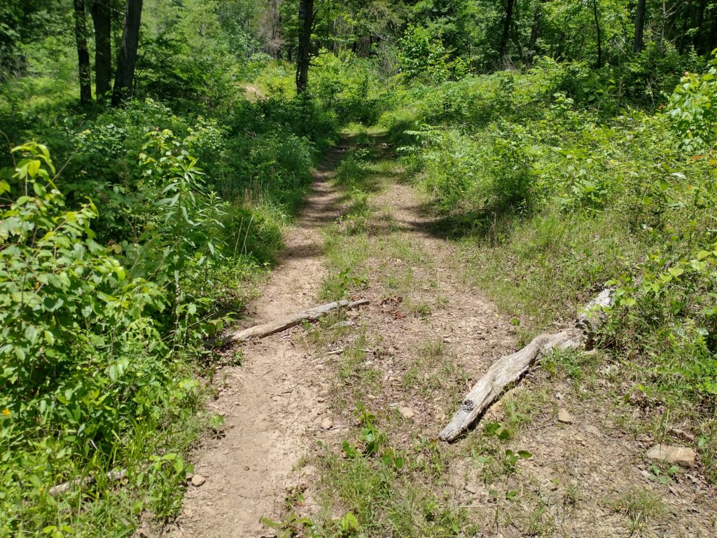 img_20220603_125553832_hdr.jpg