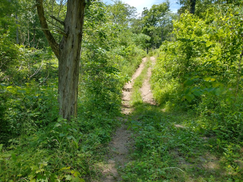 img_20220603_125625953_hdr.jpg