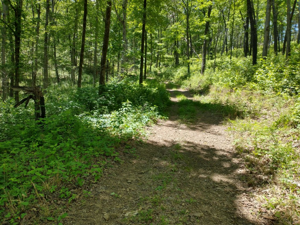 img_20220603_130024132_hdr.jpg