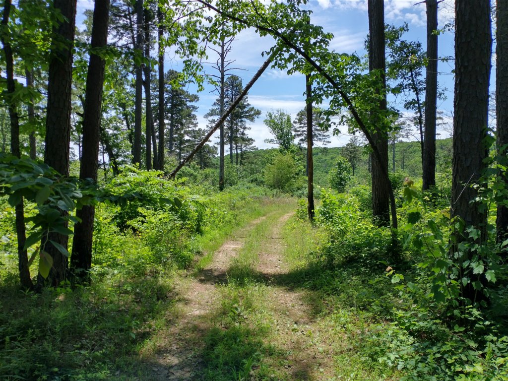 img_20220603_131133594_hdr.jpg