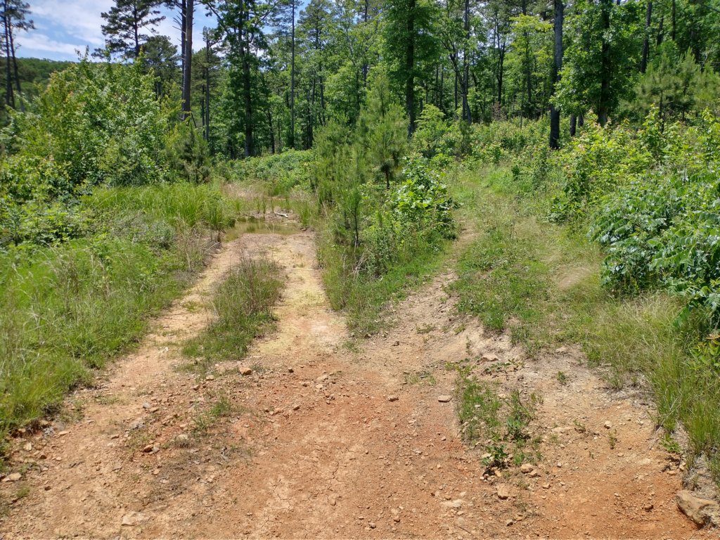 img_20220603_131227467_hdr.jpg
