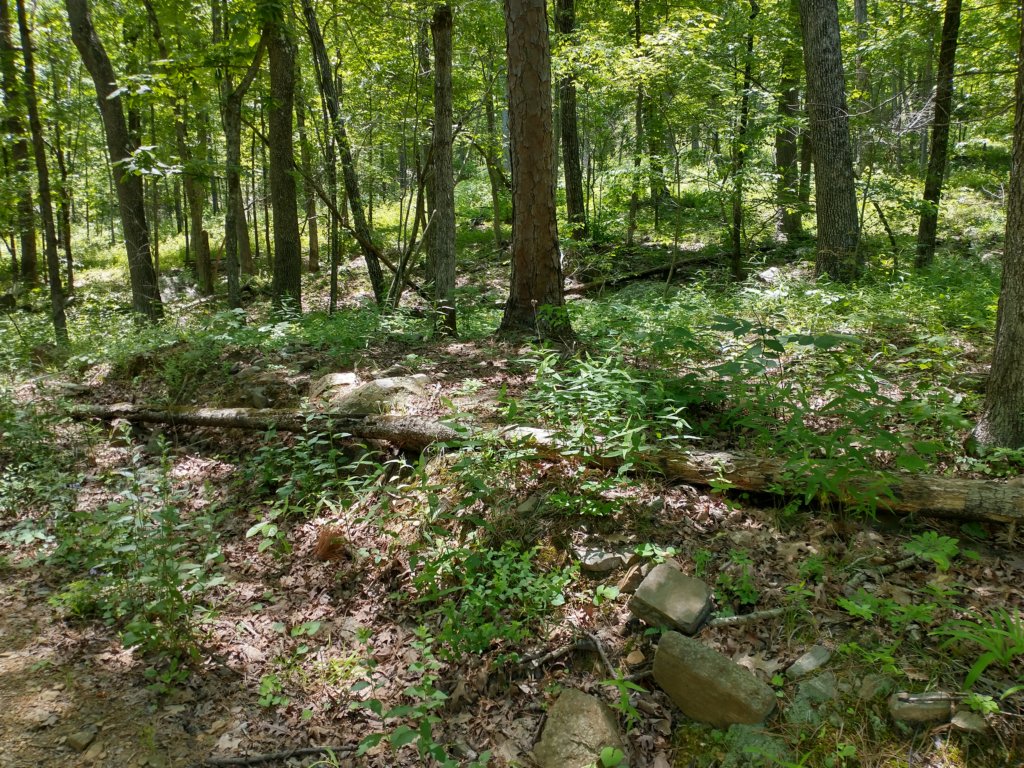 img_20220603_131719963_hdr.jpg
