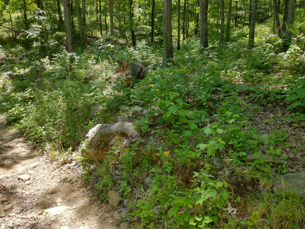img_20220603_131845094_hdr.jpg