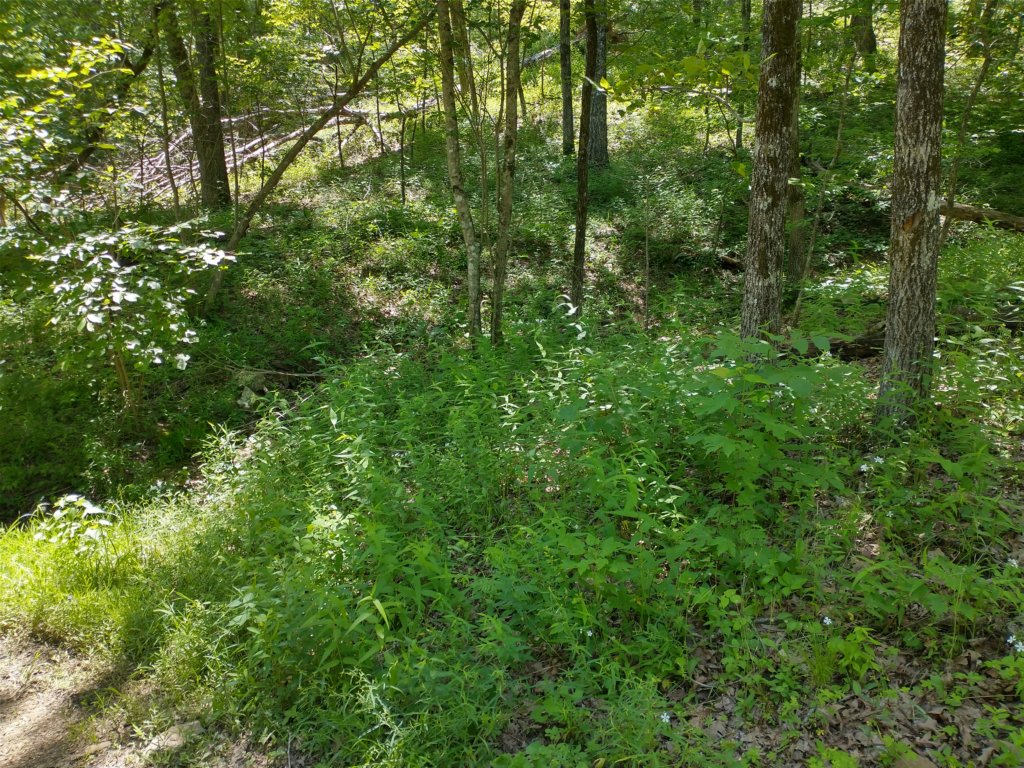 img_20220603_132255828_hdr.jpg