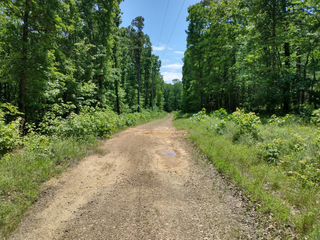 img_20220603_134111057_hdr.jpg