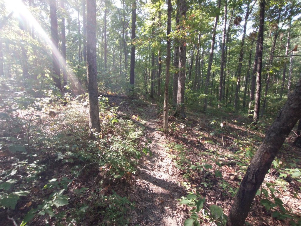 img_20210901_100200671.jpg
