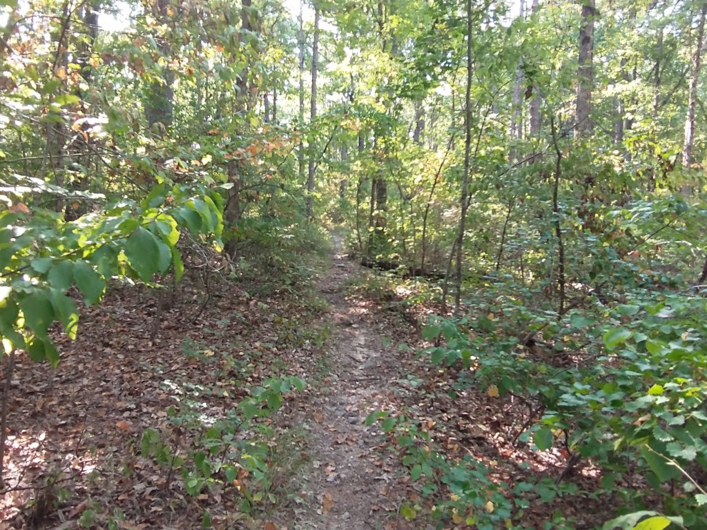 img_20210901_100407717.jpg