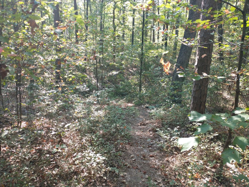 img_20210901_100916850.jpg
