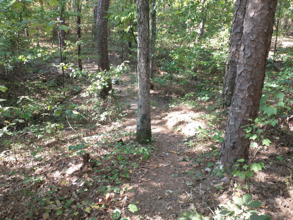 img_20210901_101501883.jpg