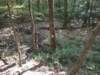 img_20210901_102136347_small.jpg