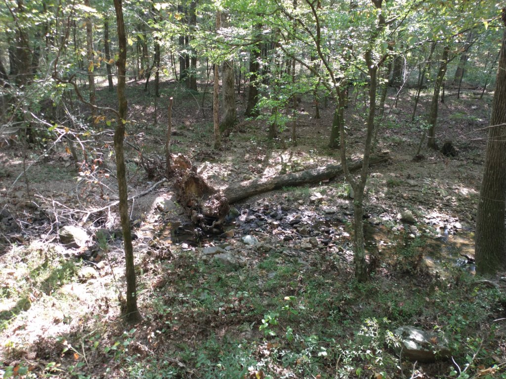 img_20210901_102241530.jpg