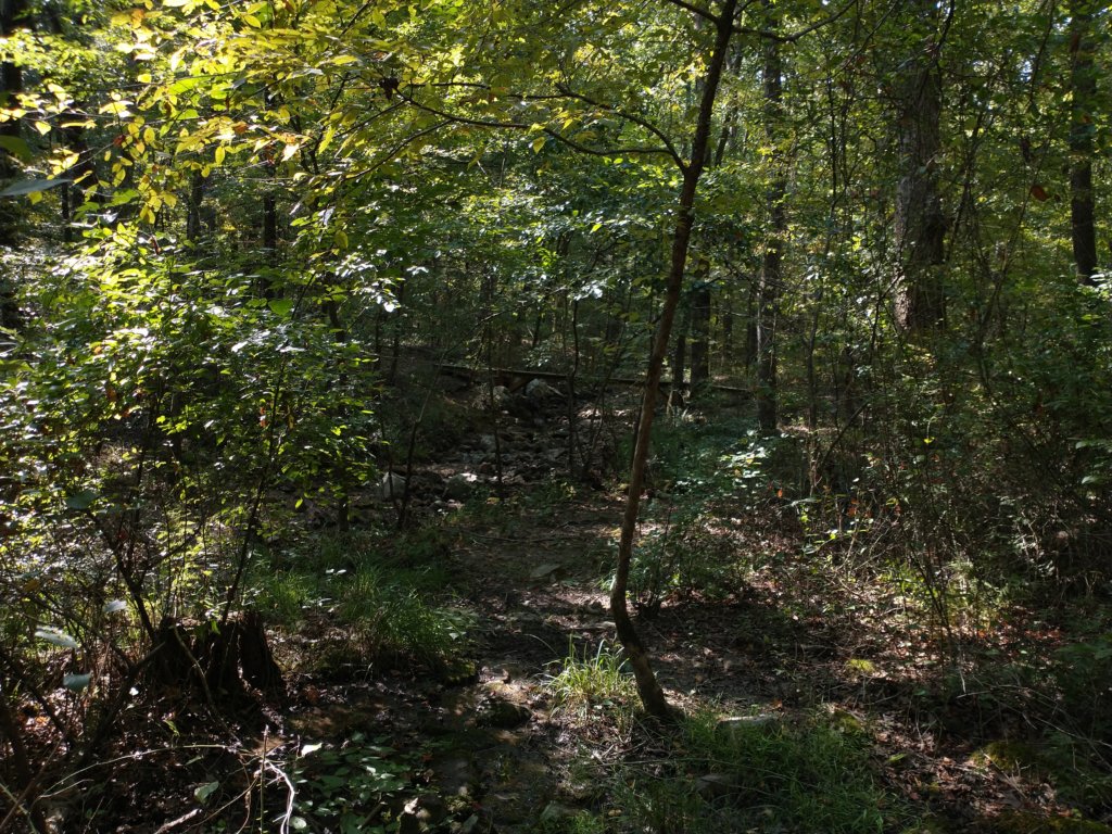 img_20210901_102316357.jpg