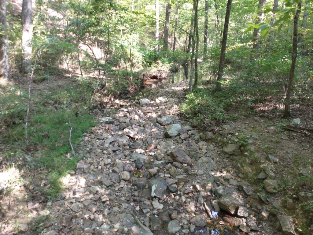 img_20210901_102701905.jpg