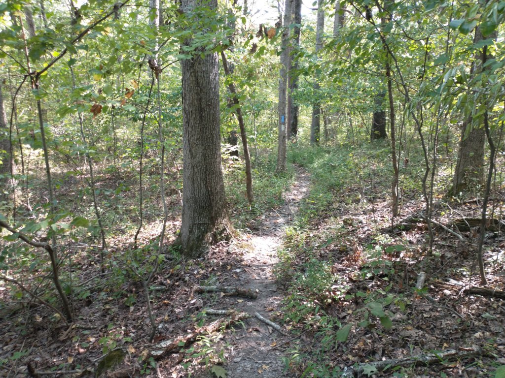 img_20210901_104602462.jpg