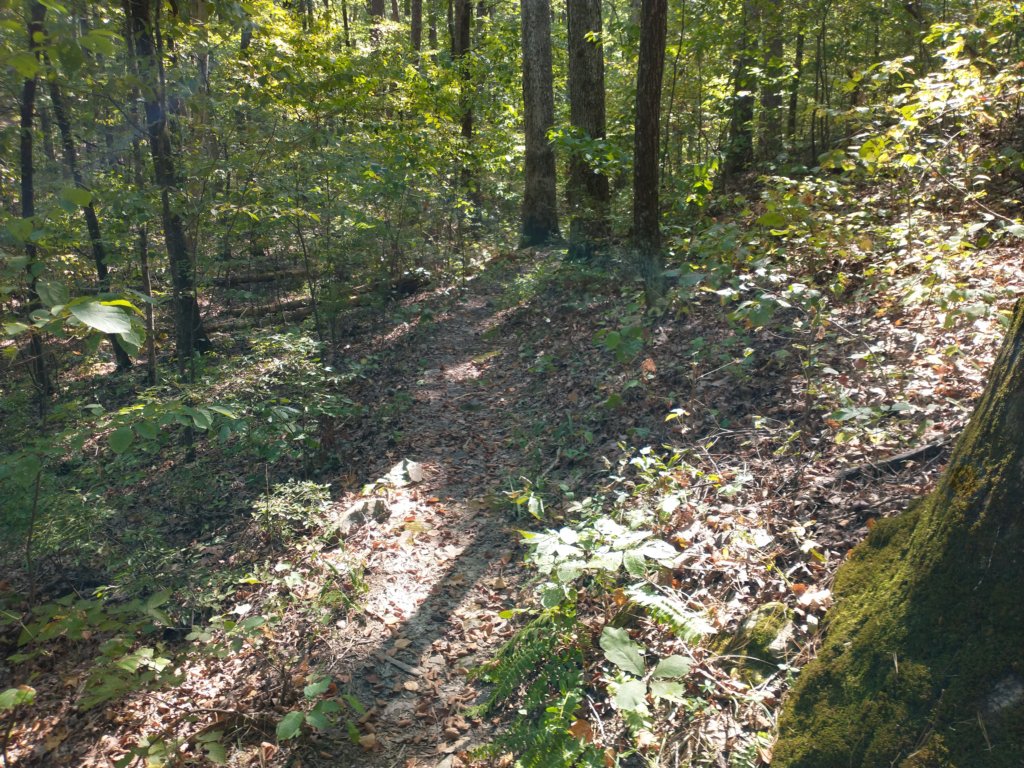 img_20210901_110847821.jpg