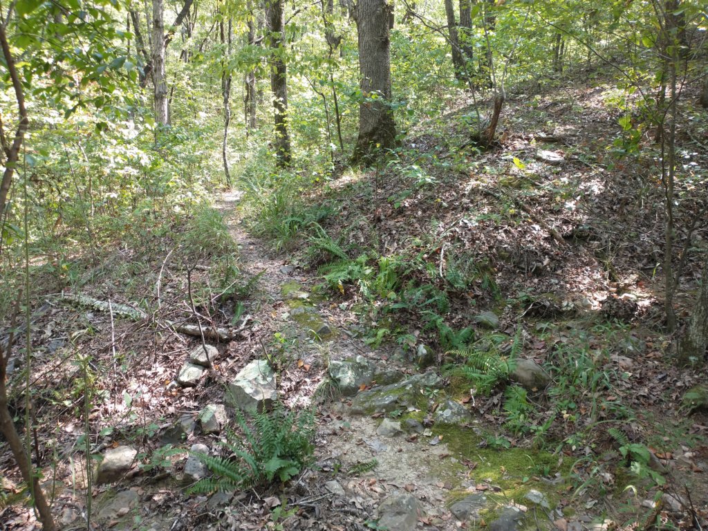 img_20210901_112423043.jpg