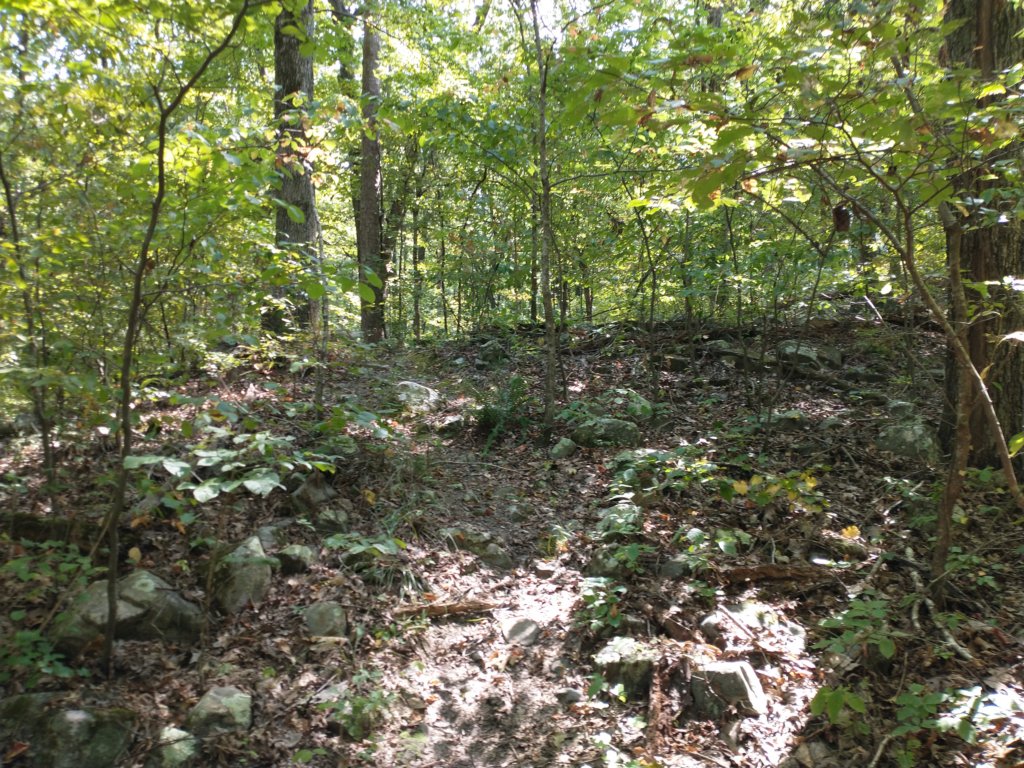 img_20210901_112703145.jpg