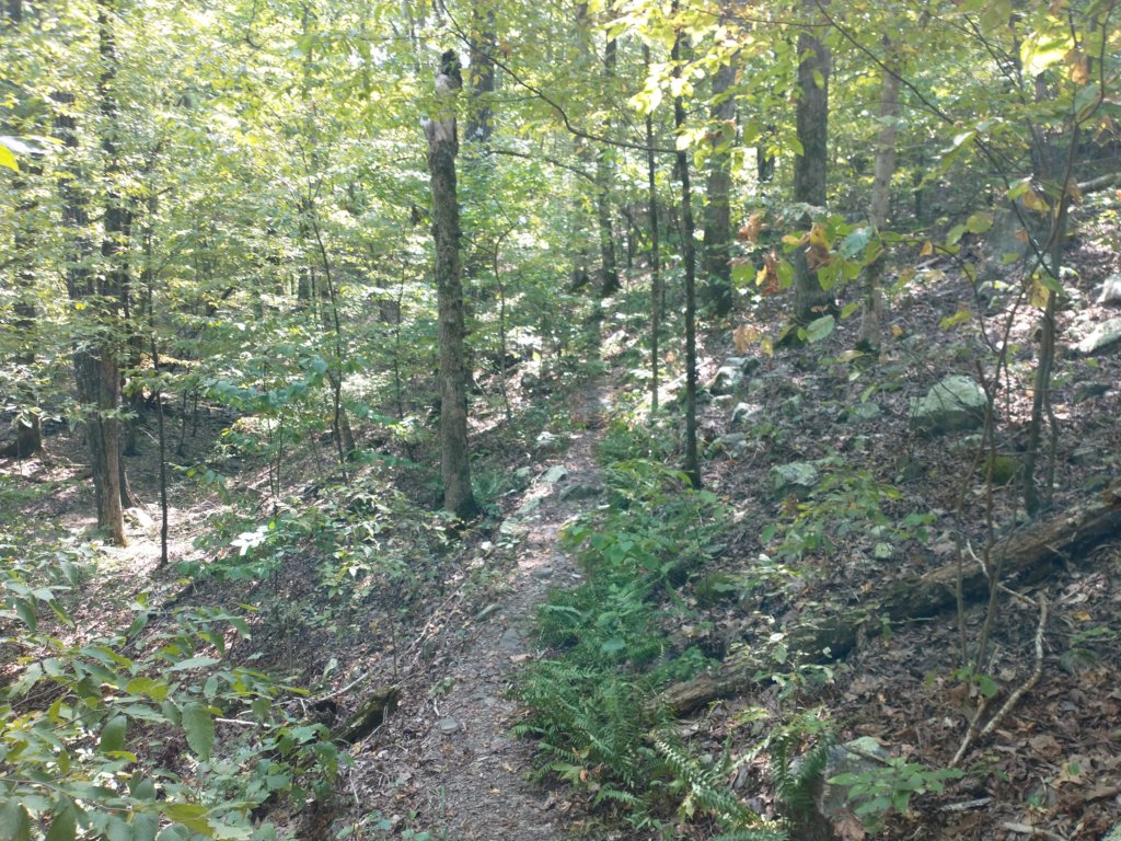 img_20210901_112903756.jpg