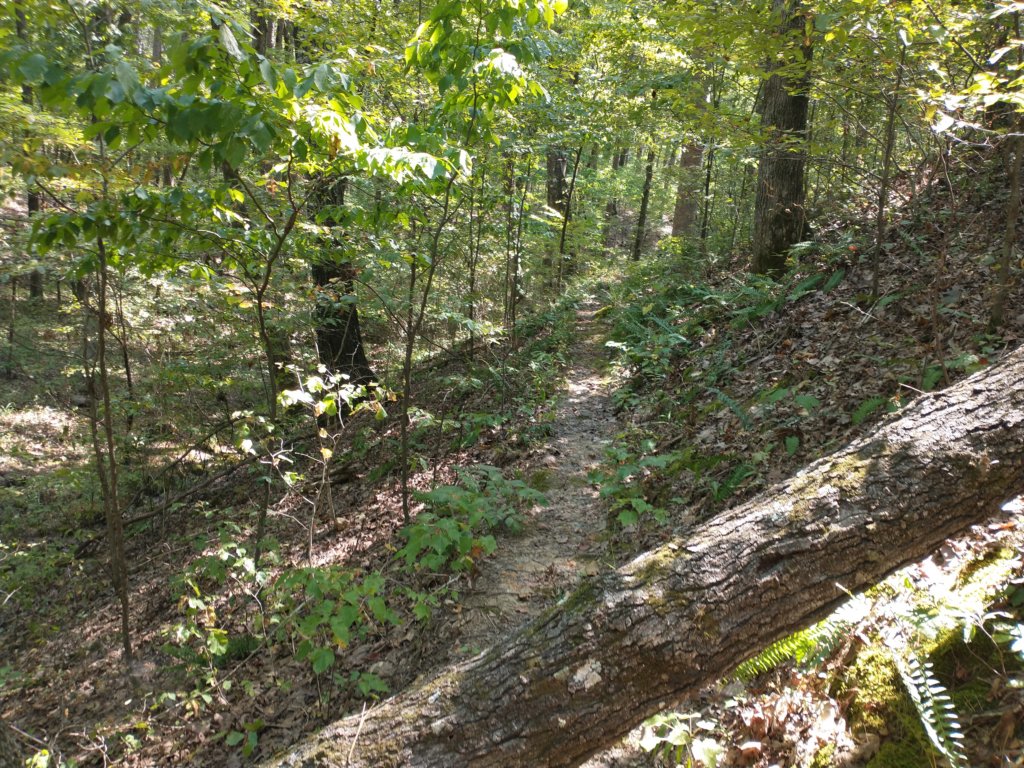 img_20210901_113149850.jpg