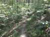 img_20210901_113840300_small.jpg